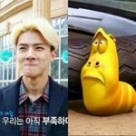 [EXO] <b>공갈빵</b>먹을까말까추반좀