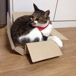 [탑과라떼] 탑과라떼 휴대폰속 좋아하는 사진 몇장