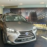 렉서스 하이브리드 컴팩트<b>SUV</b> NX300h 시승하고 싶어지네요