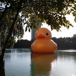 <b>러버</b>덕 별거 아닌거 같은데 기엽네