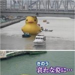 [EXO] 아낰ㅋㅋㅋㅋㅋㅋㅋㅋ러버덕의 <b>실체</b>