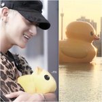 [EXO] 석촌<b>호수</b>에 뜬 오리 타오가 갖고있던거같앜ㅋ