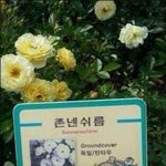 [조언부탁] <b>의욕</b>이없어요 수험생인데