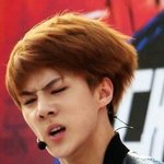 [EXO] 흔한 오빠랑 싸우기