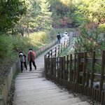 <b>도심</b>속의  신천지, 보라매 충효길