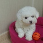 봉<b>브라더스</b> 성장기