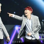 [EXO] 반애들 싸우게생김