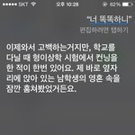 아이폰 씨리한테 너똑똑하니?라고 했더니...