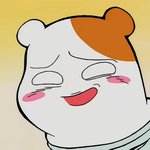 [싱글톡] 와 <b>부처</b>가 되어가는듯 ㅋㅋㅋ