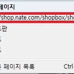 [꼭댓글부탁] <b>님들</b> 네판할때...이게 뭔지 암...?