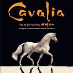 [꼭댓글부탁] 카발리아 예매했다가 낭패당함. 인터파크 측에서 일방적...