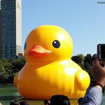 [EXO] 얘들아 어서들어와