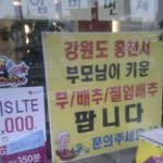 [베스트<b>클릭</b>] 단통법 이후 휴대폰 판매점 근황
