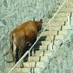 [EXO] 얘들아... 나 꿈꿨는데 엑소가...