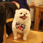 [마음<b>짱</b>] 혼자 보기 너무 아까운 마음이