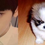 [찬열] 찬뭉이 <b>우우</b>우웅 실시간 트렌드