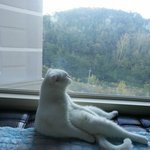 뭘 좀 아는 가을 남자 우리 <b>쿠마</b>~