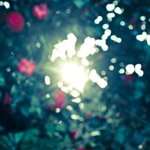 [팬픽] 야심한 새벽을타 사진<b>연성</b>글