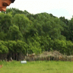 [뉴트] 머릿속에서 <b>민트</b>가 자꾸 맴돈다 