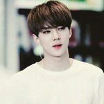 [EXO] 스밍돌리는법 정리해줄판녀없어?