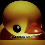 [EXO] 속눈썹도 빠지면 다시 자라?