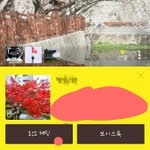 [뉴트] 갈비뼈(혜리)는 잘하는거 하나이씀