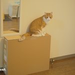 [유봉이네] 앙즘마와 왕자병(유봉이네)