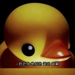 [EXO] 근데팬질하면서