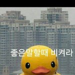 [EXO] 가수가 투표해달라는거<b>처음</b><b>봄</b>ㅋㅋㅋㅋ