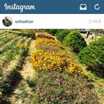 [EXO] 세훈이가1위탈환하고인스타올려줄<b>때의</b>