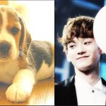 [EXO] 최강비글귀요미라인!! 