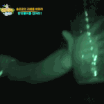 [EXO] 타오 진짜 씹귀신 씌인듯