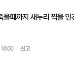 [개빡침] 폐륜아가 넘치는 인터넷.노인 공경좀하자