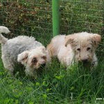 [평강공주] 할매할배 소풍가자! 후기 1편