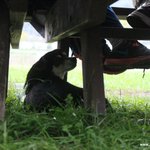 [평강공주] 할매할배 소풍가자! 후기 2편