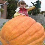 [추억파리여] 8살 소녀가 키운 180㎏ 할로윈 <b>호박</b>