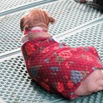 [평강공주] 할매할배 소풍가자! 후기 3편