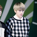 [블락비] 이쯤되면 닉쿤 지코한테 무릎꿇고 사죄해야되는거 아님