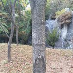 우리동네에 <b>박쥐</b>가~~