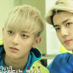 [EXO] ㅂㅎ이 <b>무관심</b>이긴하지만