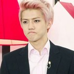 [EXO] 12기는 걍 엑소 <b>버전</b>아님?