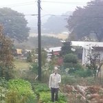 [콜로라도] 요즘 농촌의 허수아비 스<b>캐일</b>...