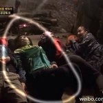 [타오] 타오 정글에서 부족원들이 잡아준 <b>반딧불이</b> 있잖아