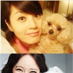 주인과 꼭 닮은 연예인 반려<b>견들</b>