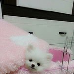 쇼생크<b>탈출</b>...