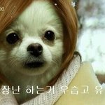 [핑퀴꺼져] 생각해보니까 핑퀴들 웃긴게 ㅋㅋ