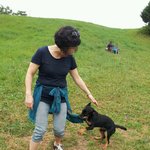 대관령 삼양 목장의 위험성