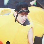 [EXO] 잠도안와ㅆㅂ