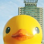 [팬픽] ㅅㄷ)카2 <b>대포</b>가 찍은 러.버덕