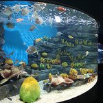 한화아쿠아플라넷 할인&amp;김승연 아들(한화 <b>차남</b>) 입사